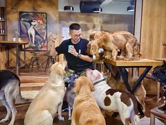 -萌喵咖啡屋(人民东路4号口M16商铺店)