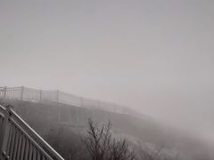 -东白山