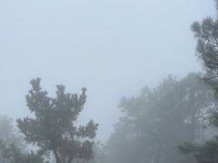 -雨花胜境