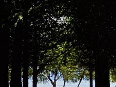 -捞渔河湿地公园