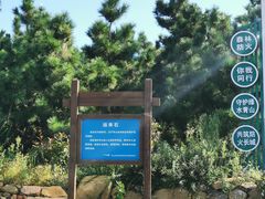 -灵山岛风景区