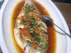 -洞庭渔人(沙湾店)