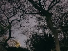-笔架山