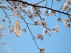 -堤角公园