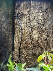 -酷嗒动物文化乐园(cutezoo西溪乐天城店)