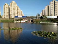-前关湿地公园