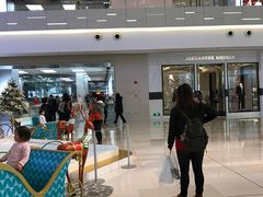 -Alexander McQueen(IAPM环贸广场店)