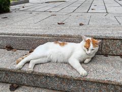 -山东大学(威海校区)