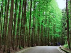 -山王坪喀斯特国家生态公园