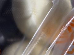 -食膳公园包子铺(烈士公园店)