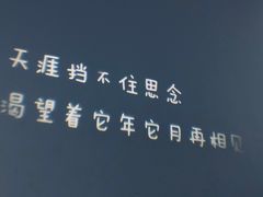 -成都失恋馆