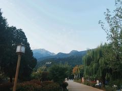 -泰山风景名胜区-虎山公园