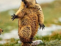 -南礼士路(地铁站)