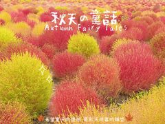 -映月湖中央公园