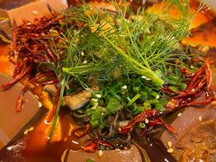 -洋洋中餐馆·SINCE 1997(信投店)