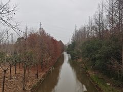 -上海长兴岛郊野公园