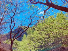 -京东石林峡风景区