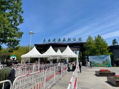 -黄海国家森林公园