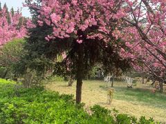-山东大学(千佛山校区)