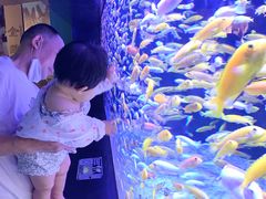 -成都浩海立方海洋公园