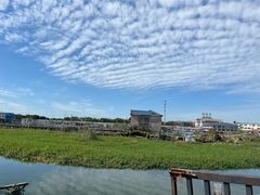 -君豪蟹都·湖景·农家乐(蟹舫苑店)