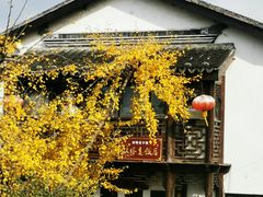 门面-双塔老饭店