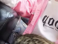 -蓝猫电竞网咖(川大店)