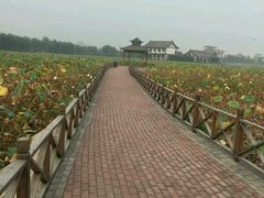 -灵山莲花公园-温泉度假区