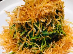 巧拌豆苗-四季民福烤鸭店(王府井灯市口店)