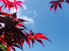 -王阳明故居