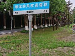 -黄海国家森林公园