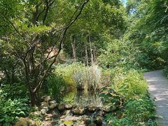 -句容茅山景区