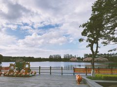 -上海长兴岛郊野公园