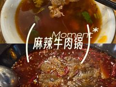 -小志家.野生菌鲜切牦牛肉牛杂火锅