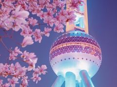 -陆家嘴中心绿地