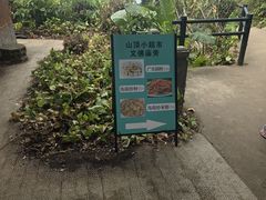 -海南铜鼓岭景区