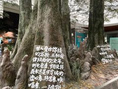 -中国湿地博物馆