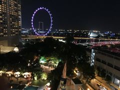 -新加坡文华东方酒店