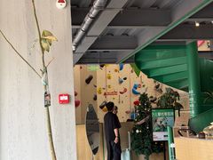 -绿壁虎攀岩基地(Tcar店)