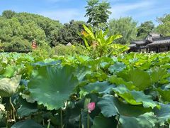 -丝绸小镇荻港古村