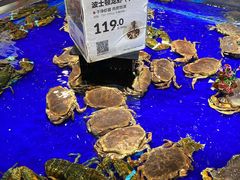 -盒马鲜生(新都心店)