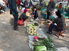 -蒲河大集