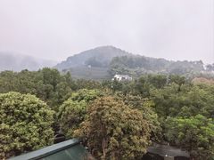 -阿巧茶庄