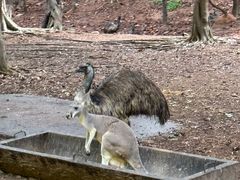 -清迈夜间动物园