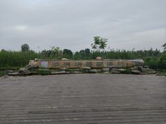 -泗洪洪泽湖湿地景区