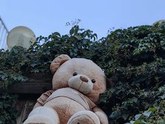 -五道营胡同