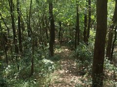 -滴水岩森林公园