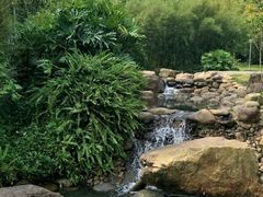 -火炉山森林公园