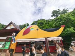 -野象谷景区