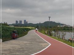 -坪山湿地公园